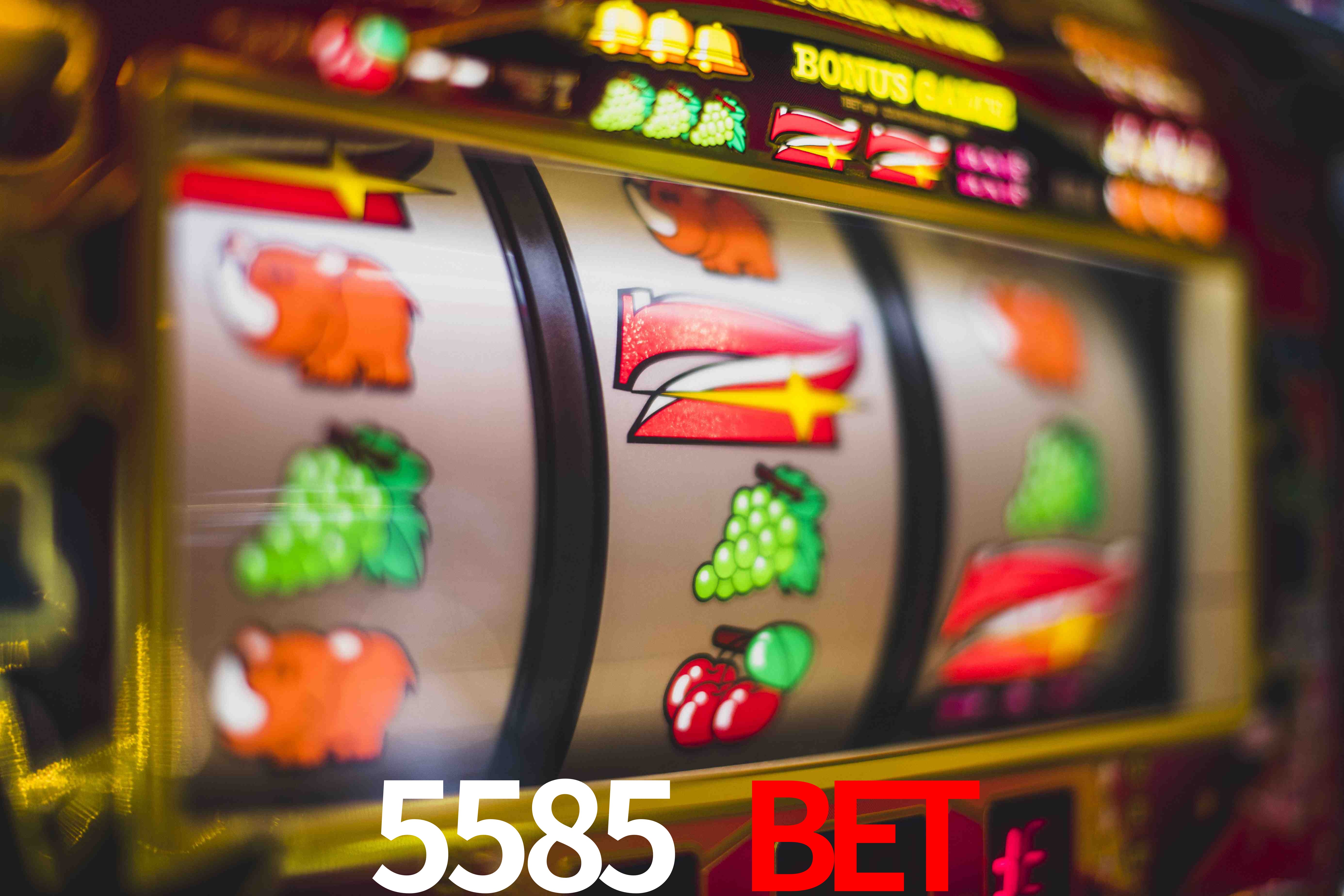 Secure Login 5585 bet